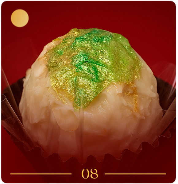 FOTO 8